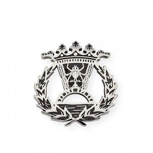 INSIGNIA PLATA ECONMICAS