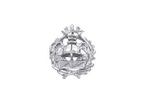 INSIGNIA PLATA EMPRESARIALES