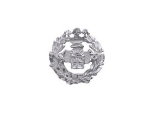 INSIGNIA PLATA FILOLOGA