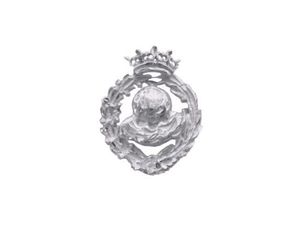 INSIGNIA PLATA GEOGRAFA